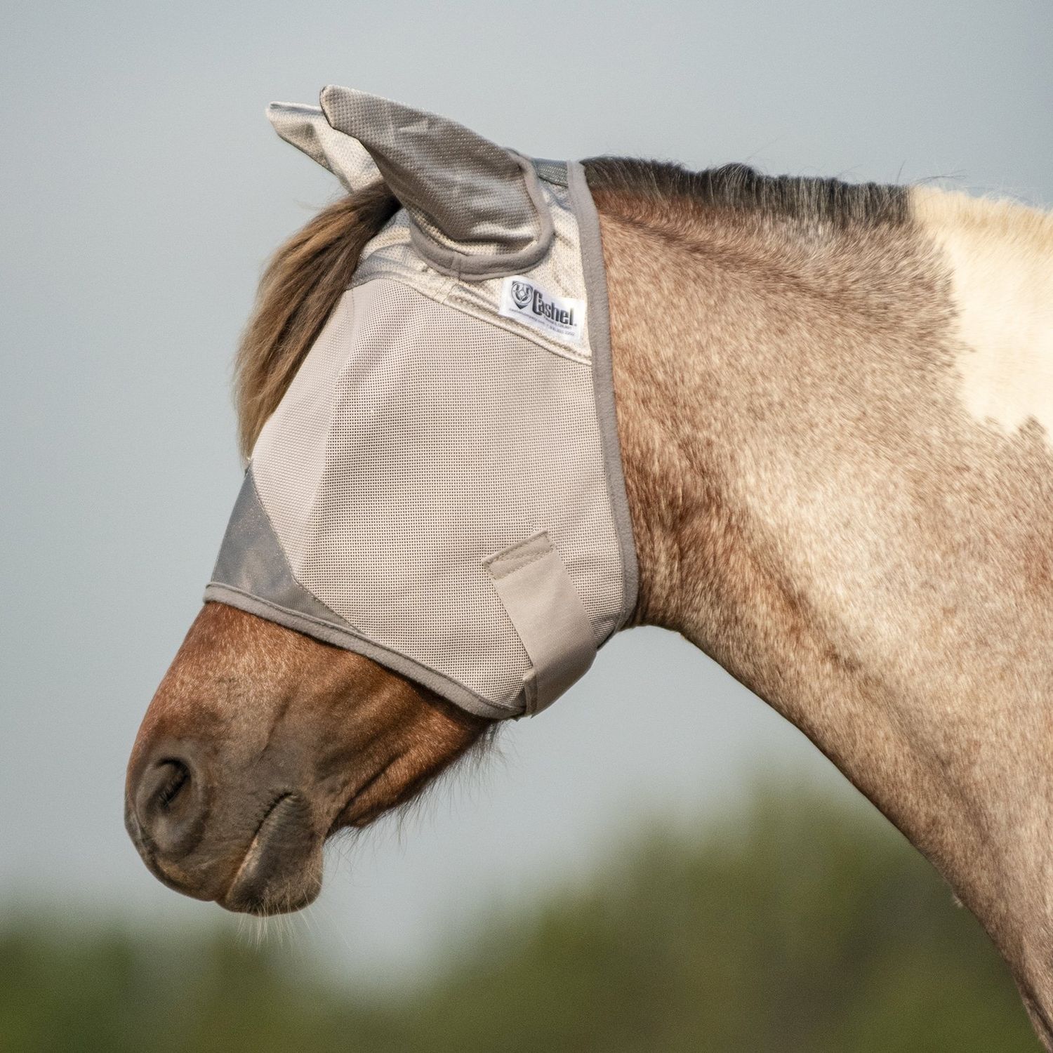 Crusader Fly Mask, Standard with Ears CFMSE, Fly Mask: Pony Large/Yearling