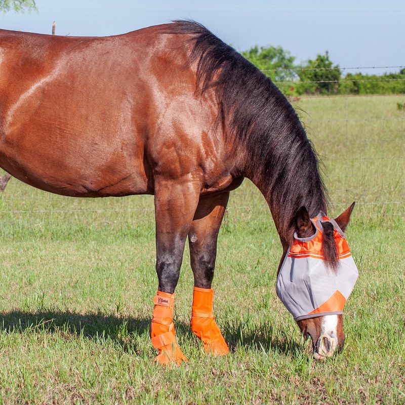 Crusader Leg Guards, Contoured Orange  LG3