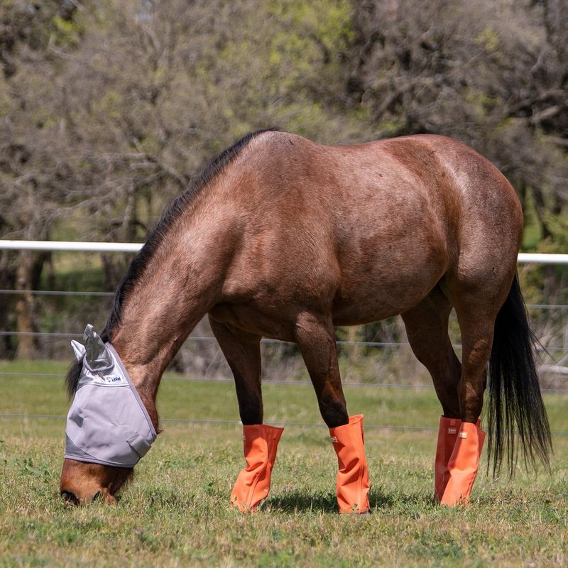 Crusader Leg Guards, Turnout   Orange LG4
