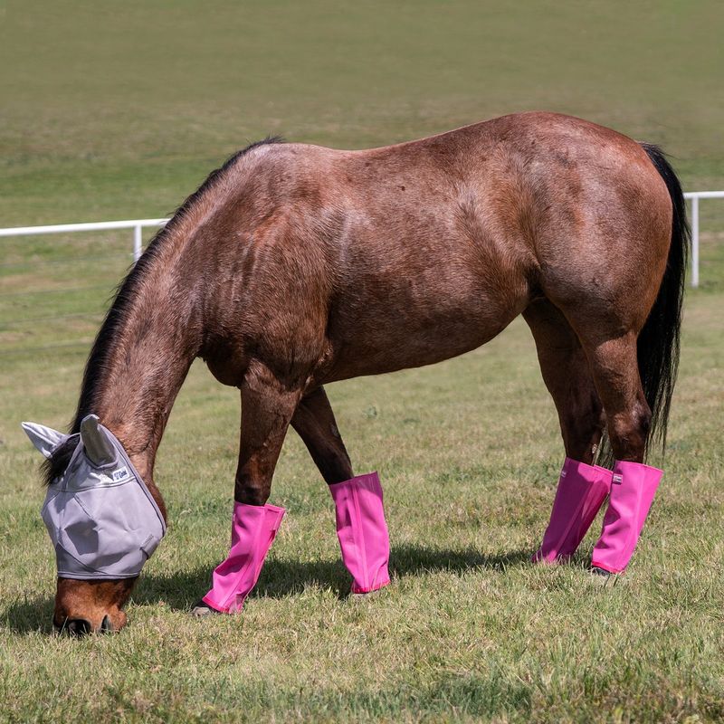 Crusader Leg Guards, Turnout   Pink  LG4