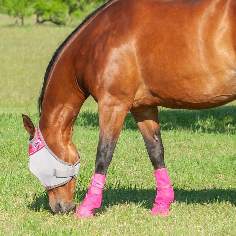 Crusader Leg Guards, Contoured Pink  LG3