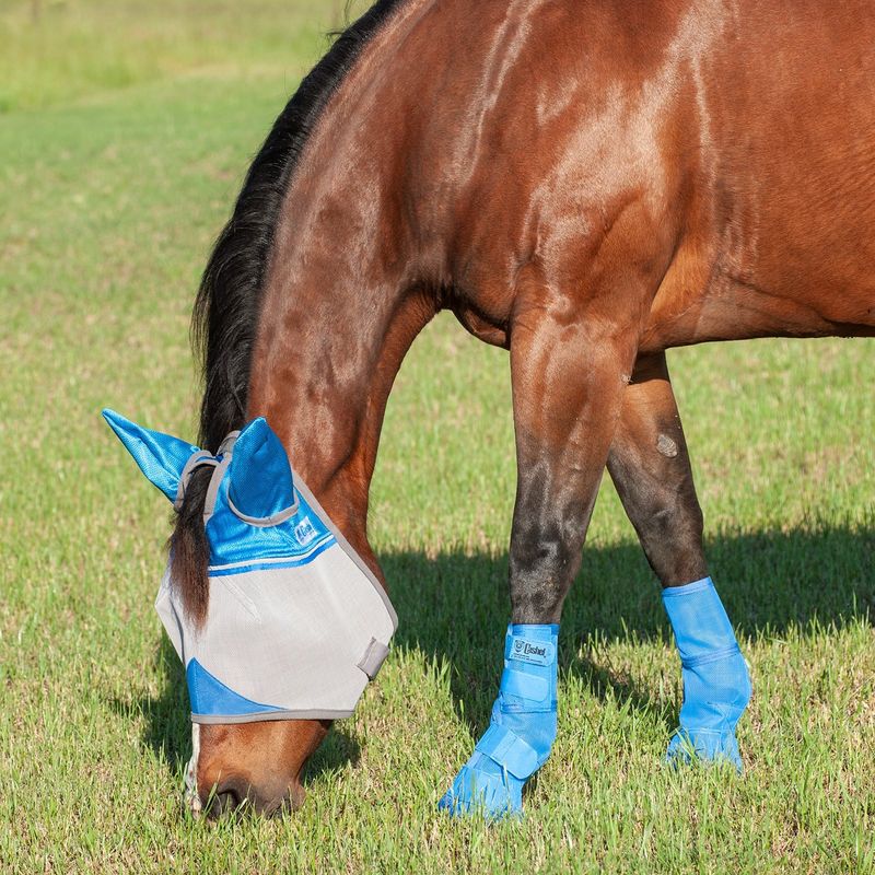 Crusader Leg Guards, Contoured Blue   LG3