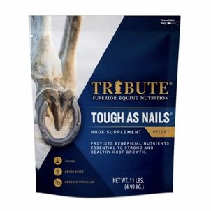 Tribute Supplements, name: TOUGH AS NAILS #035113