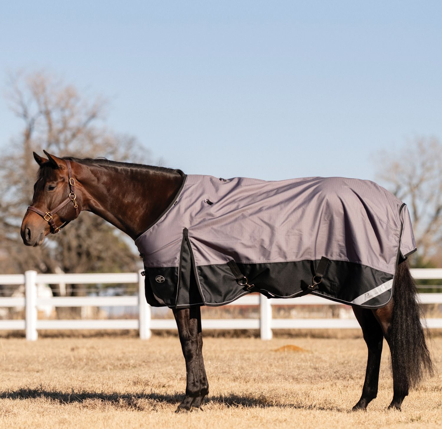 Professional Choice 1200D Horse Rain Sheets  PCRS, Fly Sheets & Blankets: 72