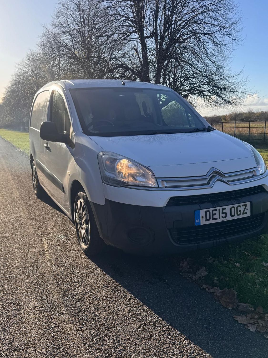 Citroen Berlingo Enterprise (2015)