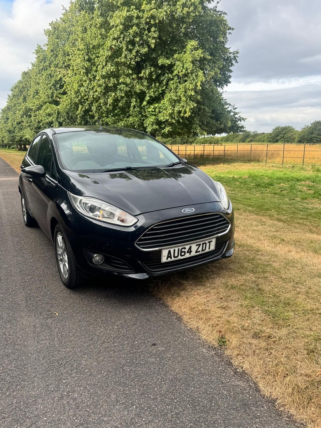 Ford Fiesta Zetec (2014) Ford Fiesta Zetec (2014)