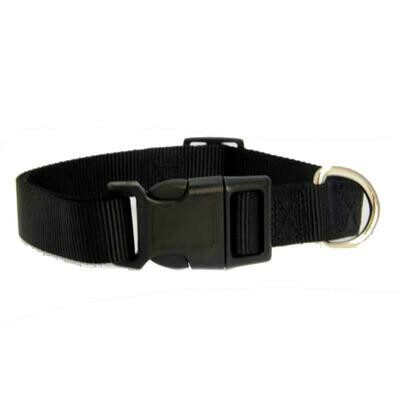 Casual Canine Nylon Dog Collar - Black