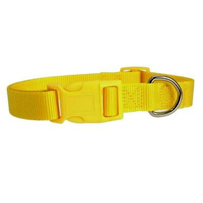 Casual Canine Nylon Dog Collar - Yellow