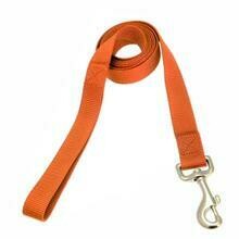 Casual Canine Nylon Lead - Orange