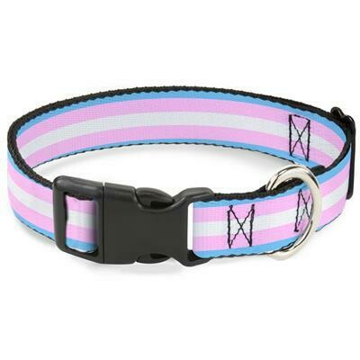 Buckle-Down Transgender Pride Plastic Clip Dog Collar