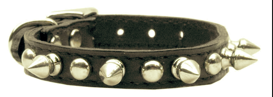 Chaser Leather Dog Collar Stud & Spike