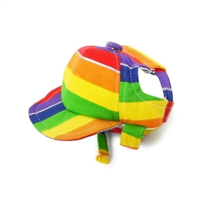 Dogo Rainbow Dog Hat