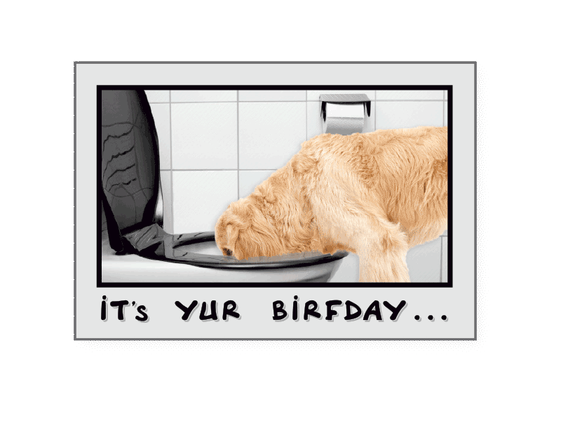 Birthday Pet Greeting Card - Drink Responsibly