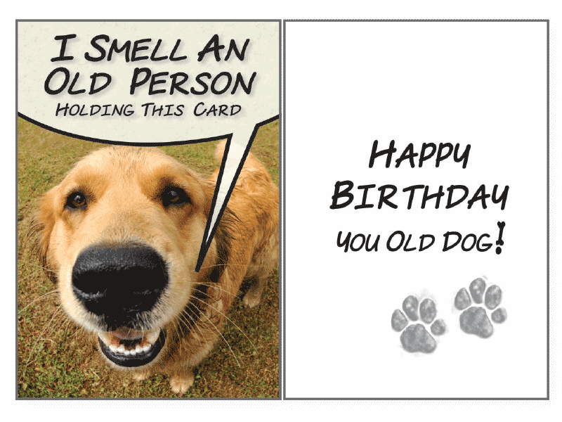 Birthday Pet Greeting Card - I Smell An Old Person