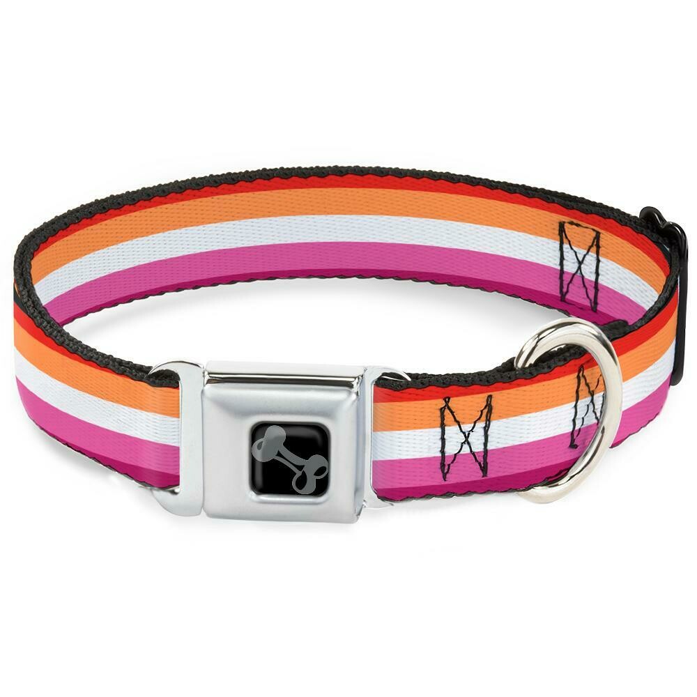 Buckle-Down Lesbian Pride Seatbelt Buckle Dog Collar