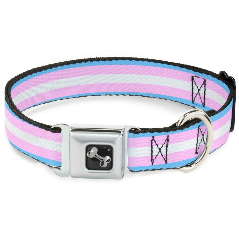 Buckle-Down Transgender Pride Seatbelt Buckle Dog Collar