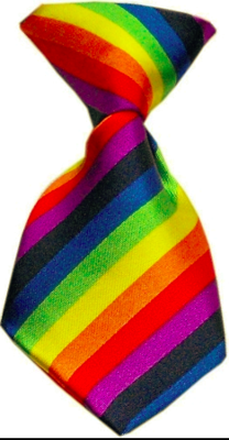 Pride Rainbow Neck Tie For Dogs