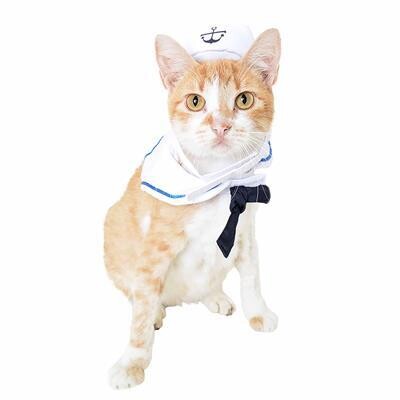 Sailor Costume For Cats And Small Dogs