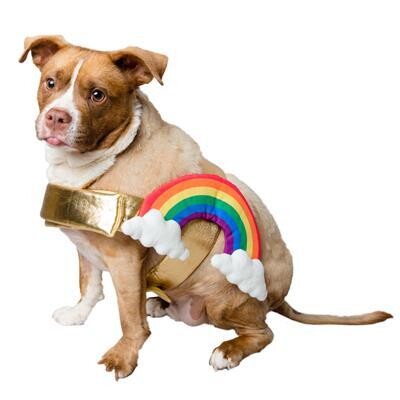 Pet Kreme Rainbow Costume For Dogs