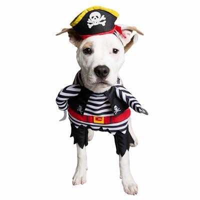 Pet Krema Pirate Dog Costume