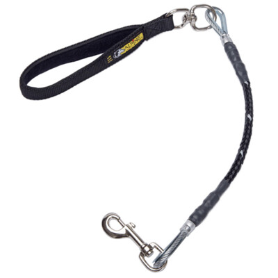 Alpine Chew-Proof Cable Filled 5-ft Dog Leash For Large To XL Dogs