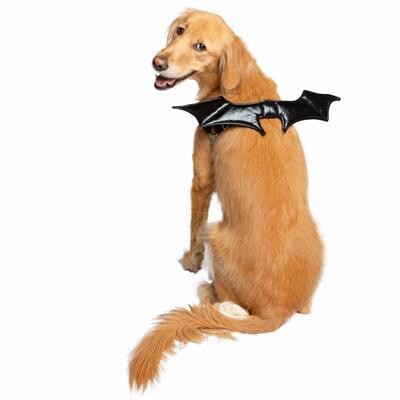 Bat Wings Harness Attachment For Dogs