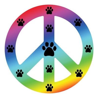 Rainbow Peace Sign Magnet