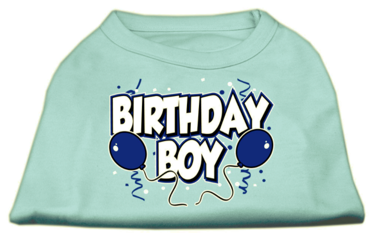 Birthday Boy Screen Print Tee Shirt
