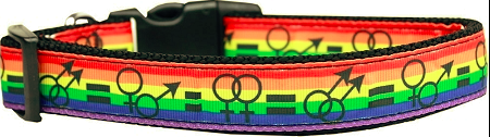 Equality Rainbow Striped Nylon Dog Collar