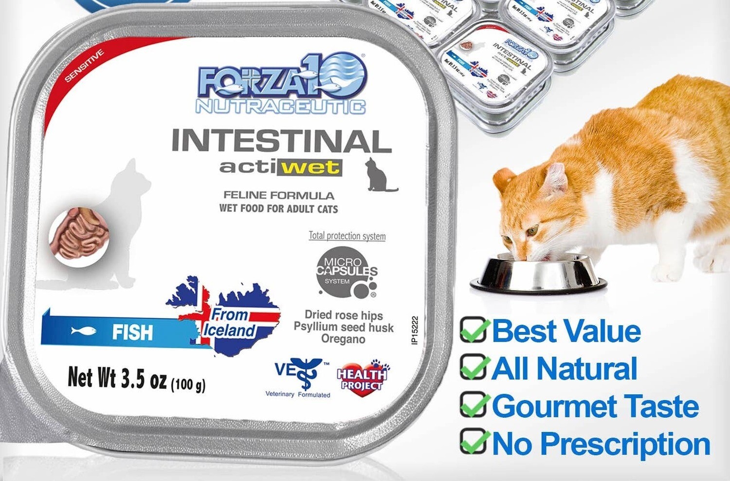 Forza10 Actiwet Intestinal Support Icelandic Fish Cat Recipe