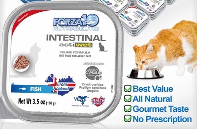 Forza10 Actiwet Intestinal Support Icelandic Fish Cat Recipe