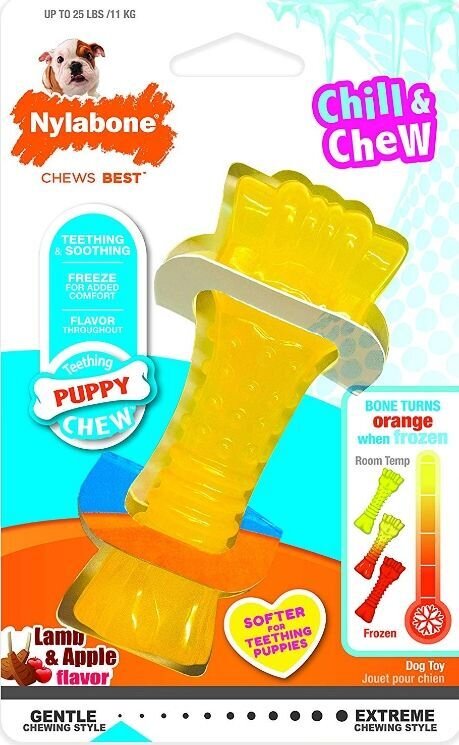 Nylabone Puppy Chew Color Changing Chill N Chew Bone - Mini Souper