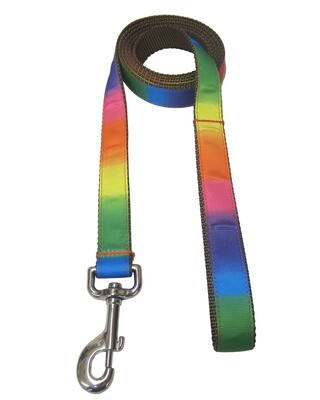 Sassy Rainbow Dog Leash