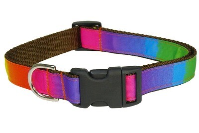 Sassy Rainbow Dog Collar