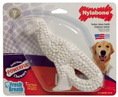 Nylabone Dinosaur Dental Dog Chew Chicken Flavor