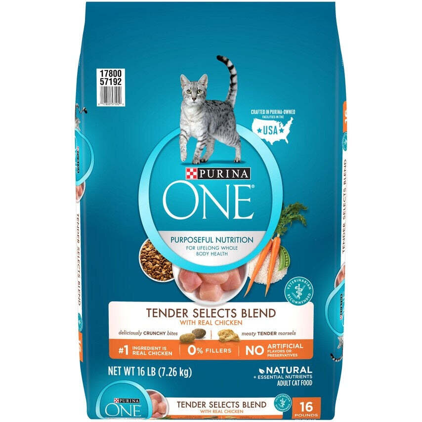 Purina ONE Tender Selects Blend Real Chicken Dry Cat Food 16-lb
