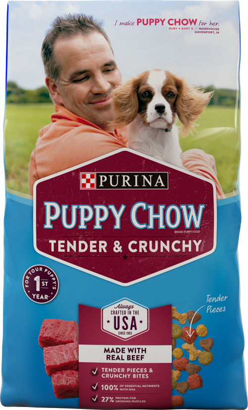 Purina Puppy Chow Tender and Crunchy Beef Recipe Dry Dog Food 32-lb