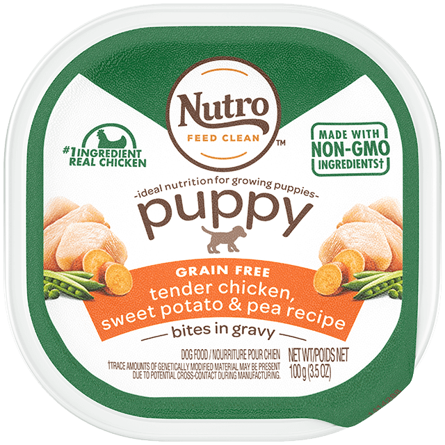 Nutro Puppy Tender Chicken & Rice Recipe Cuts In Gravy Dog Food Trays 3.5-oz, case of 24