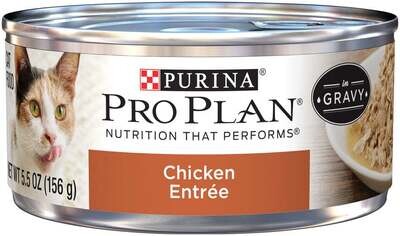 Purina Pro Plan Chicken Entree in Gravy Canned Cat Food 5.5-oz, case of 24