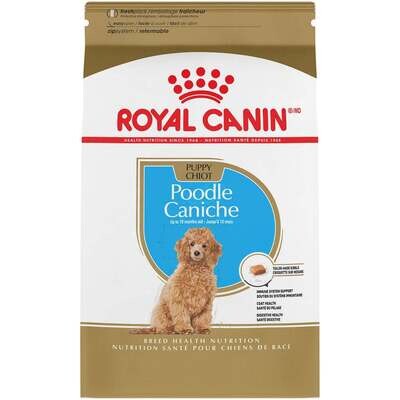 Royal Canin Breed Health Nutrition Poodle Puppy Dry Dog Food 2.5-lb