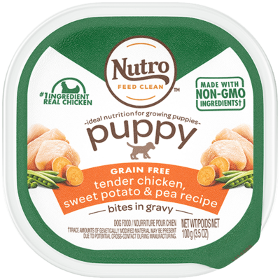 Nutro Puppy Tender Chicken & Rice Recipe Cuts In Gravy Dog Food Trays 3.5-oz, case of 24