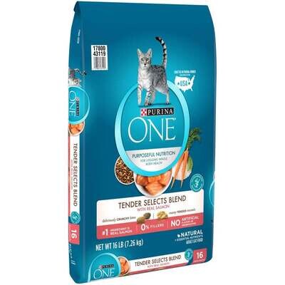 Purina ONE Tender Selects Blend Real Salmon Dry Cat Food 16-lb