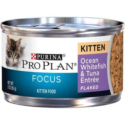 Purina Pro Plan Focus Kitten Ocean Whitefish and Tuna Entree Flaked Canned Cat Food 3-oz, case of 24