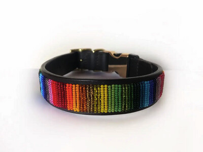 The Paw Tribe Rainbow Bead Horizontal Leather Buckle Dog Collar