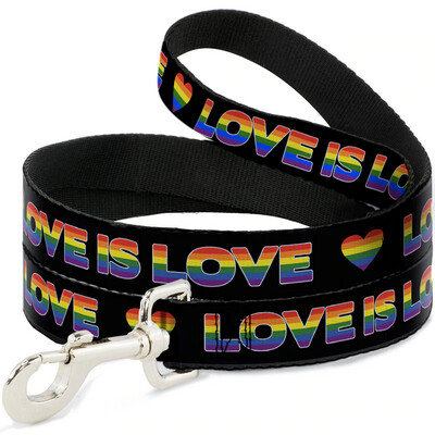 Buckle-Down Love Is Love Rainbow Dog Leash