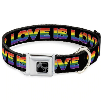 Buckle-Down Love Is Love Seatbelt Dog Collar