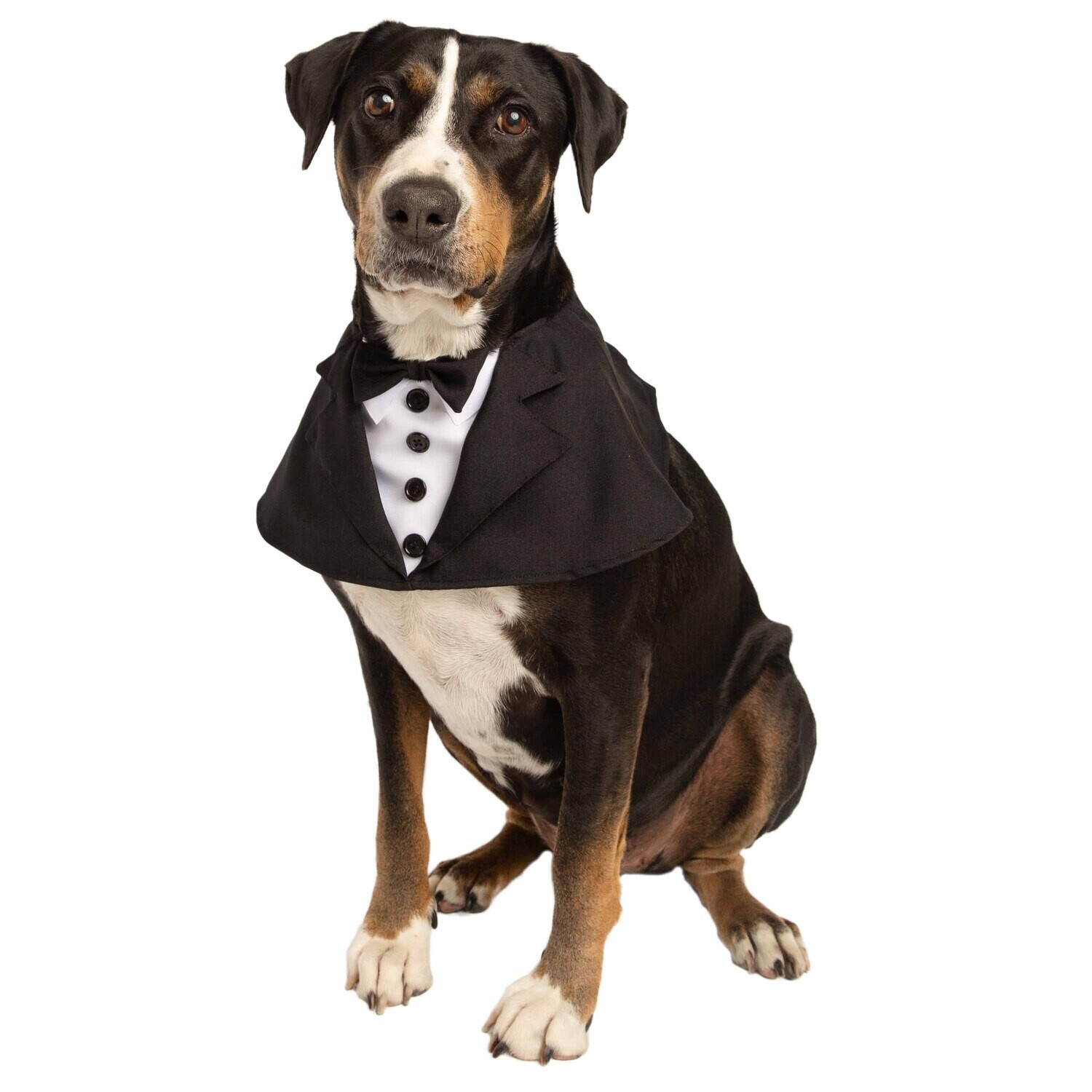 Pet Kreme Tuxedo Dog Costume