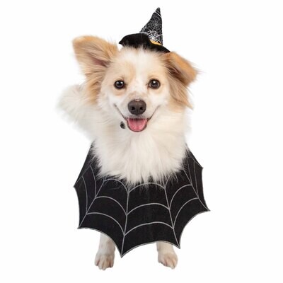 Pet Kreme Witch Hat And Collar Dog Costume
