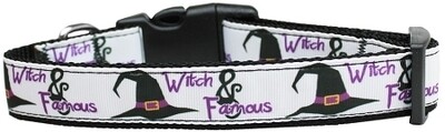 Witch and Famous Nylon Dog Collar
