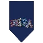 Technicolor Diva Rhinestone Pet Bandana